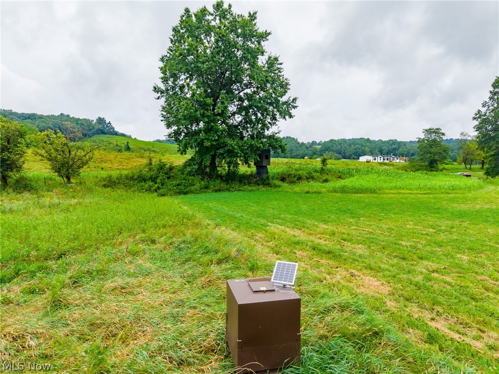 Pigeon Gap Road Property Photo 34
