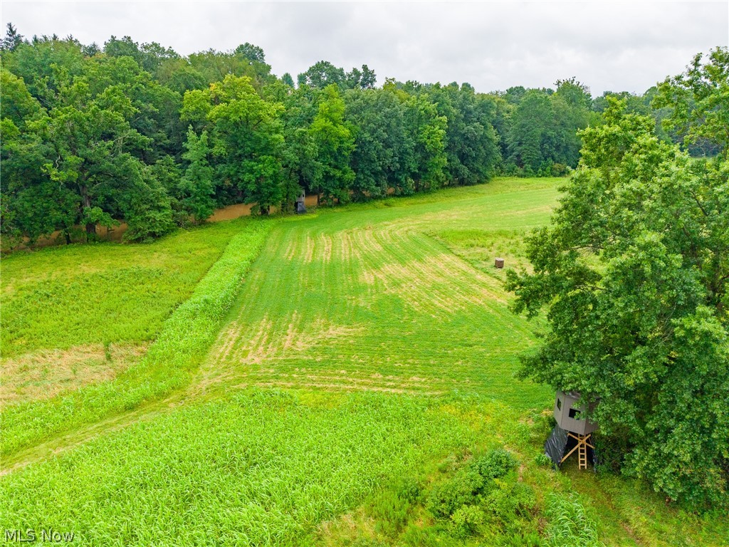 Pigeon Gap Road Property Photo 35