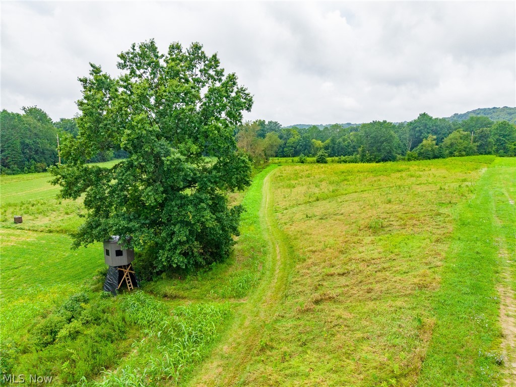 Pigeon Gap Road Property Photo 36