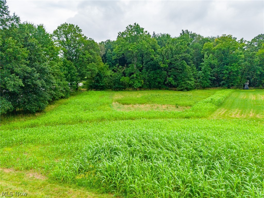 Pigeon Gap Road Property Photo 37