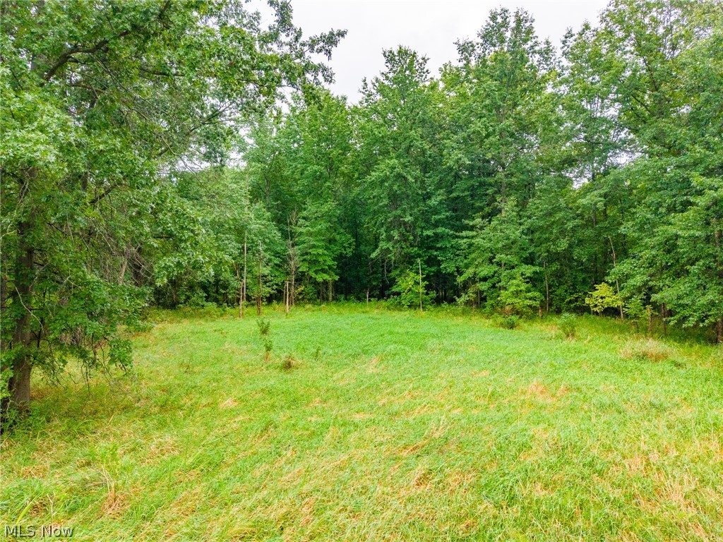 Pigeon Gap Road Property Photo 39