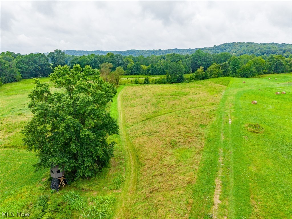 Pigeon Gap Road Property Photo 45