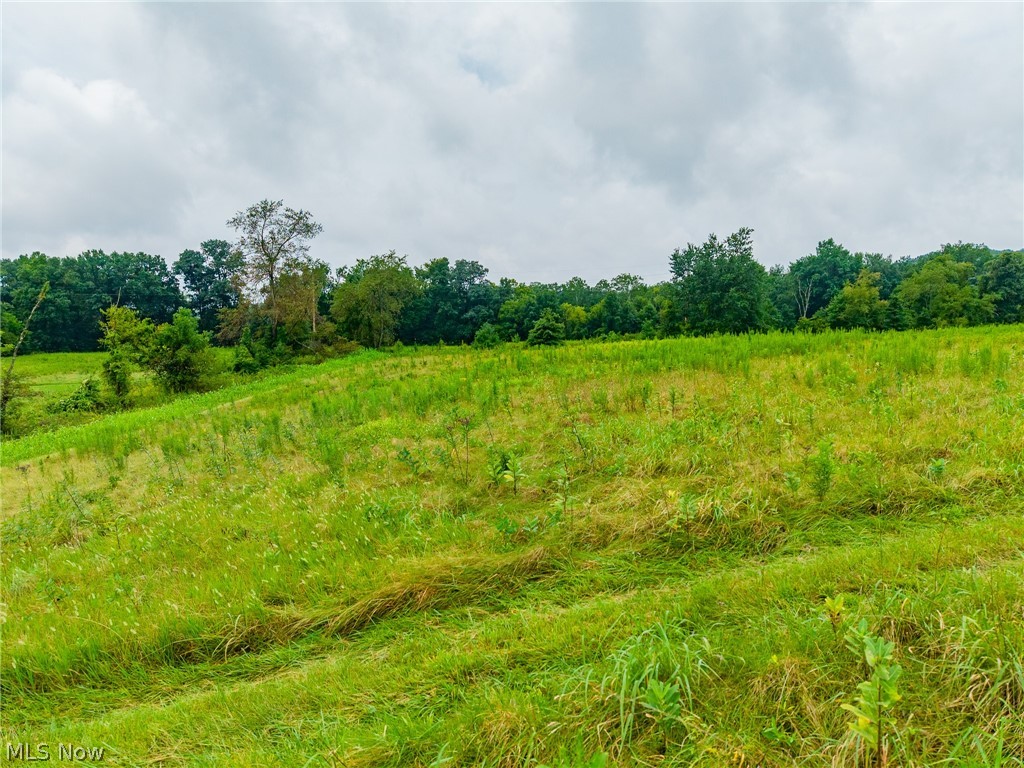 Pigeon Gap Road Property Photo 48