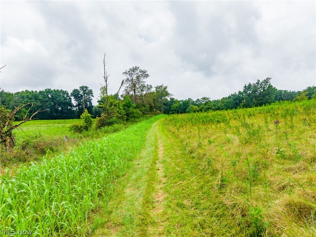 Pigeon Gap Road Property Photo 49