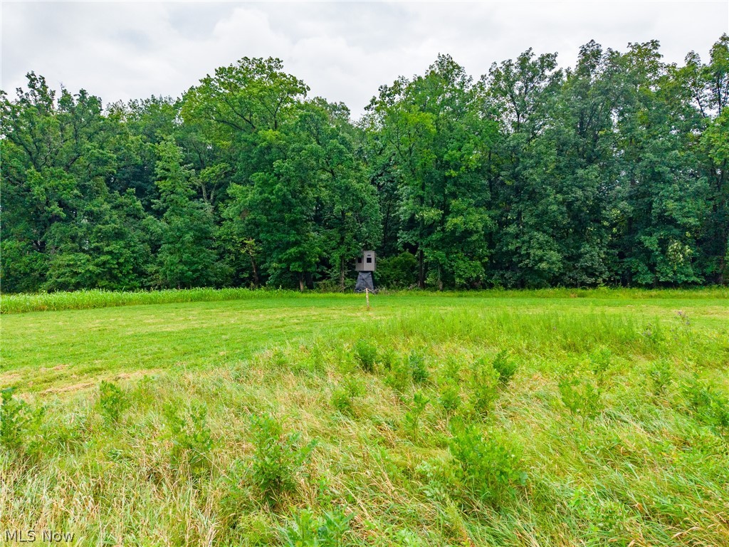 Pigeon Gap Road Property Photo 50