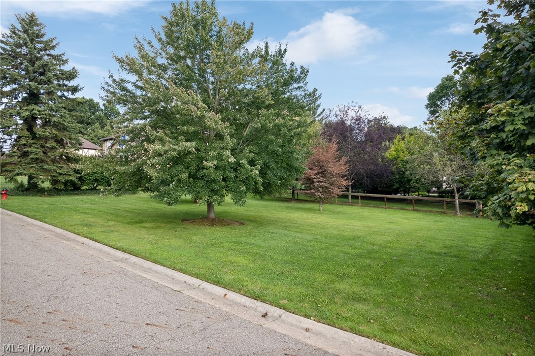 2317 Raintree Street Ne Property Photo 5