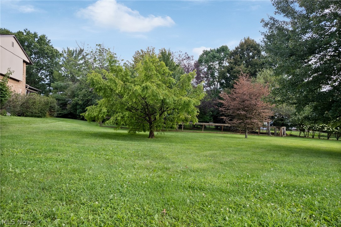 2317 Raintree Street Ne Property Photo 6