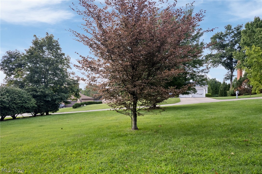 2317 Raintree Street Ne Property Photo 8