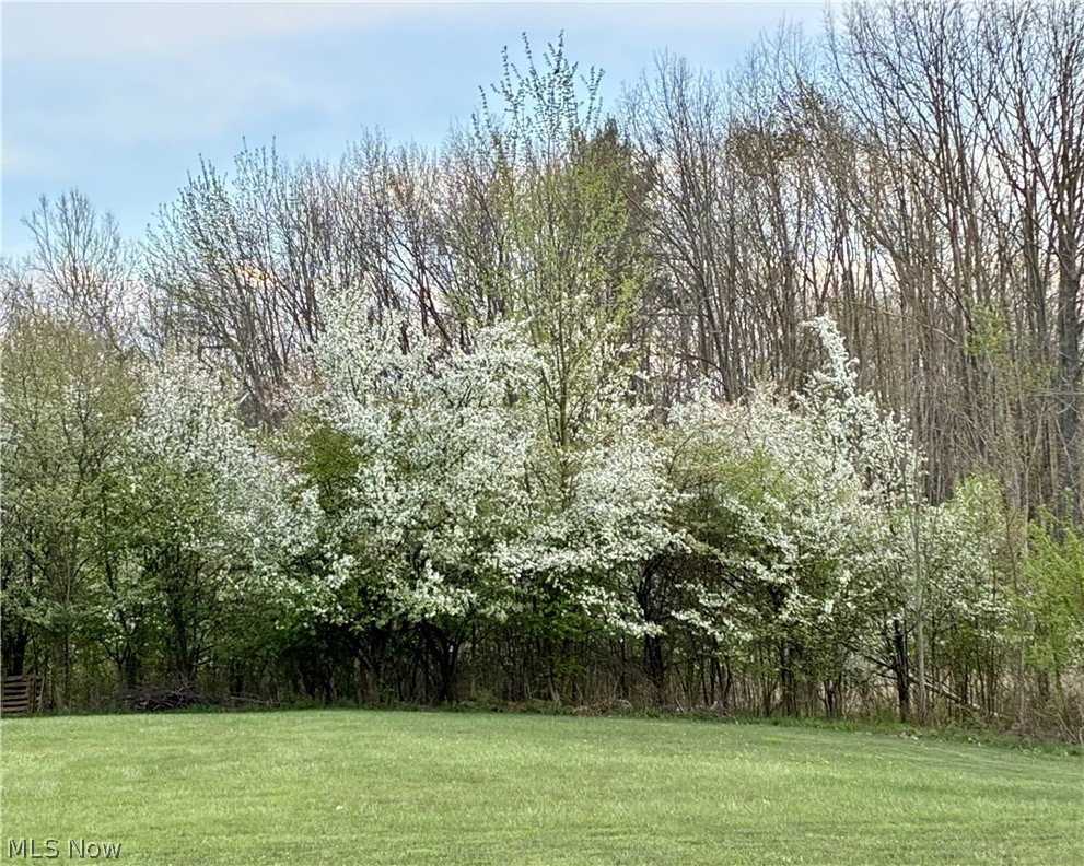 5010 State Route 307 Property Photo 34