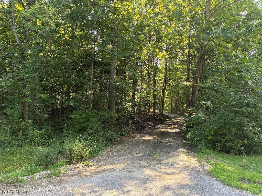 11500 Foxhaven Drive Property Photo 1