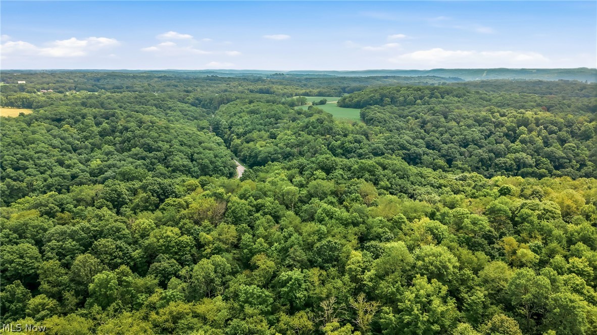 State Route 39 Property Photo 18