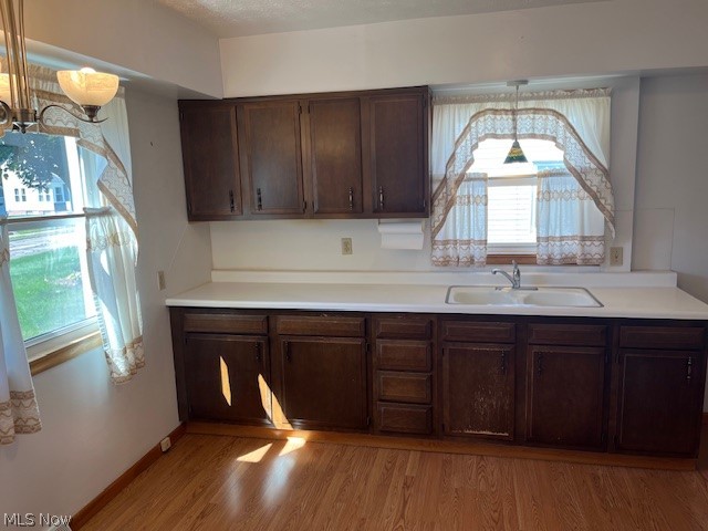 313 Schneider Street Property Photo 11