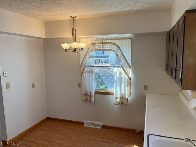 313 Schneider Street Property Photo 13