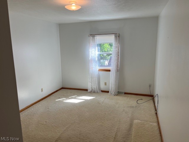 313 Schneider Street Property Photo 19
