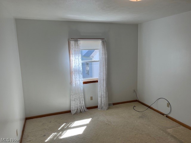 313 Schneider Street Property Photo 21