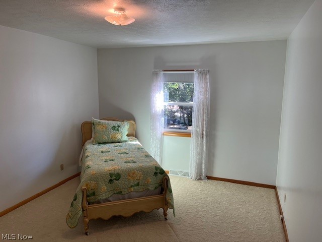 313 Schneider Street Property Photo 22