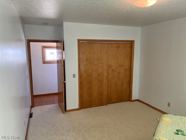 313 Schneider Street Property Photo 23