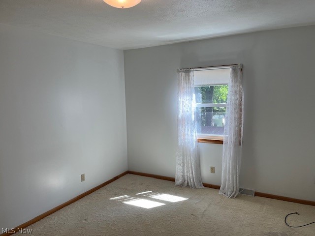 313 Schneider Street Property Photo 24