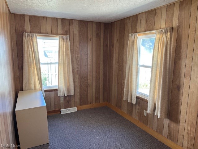 313 Schneider Street Property Photo 25