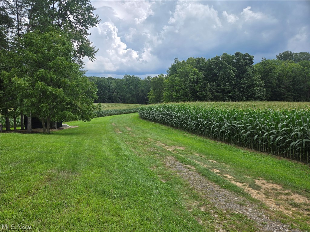 24175 State Route 58 Property Photo 14