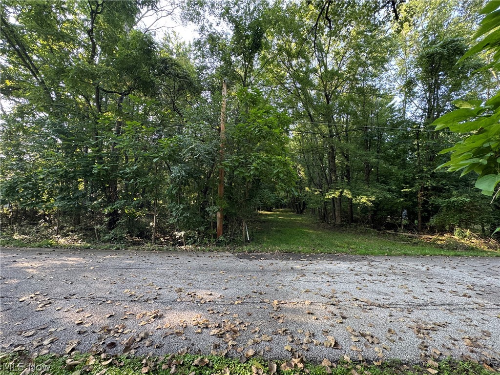 Antone Avenue Property Photo 1