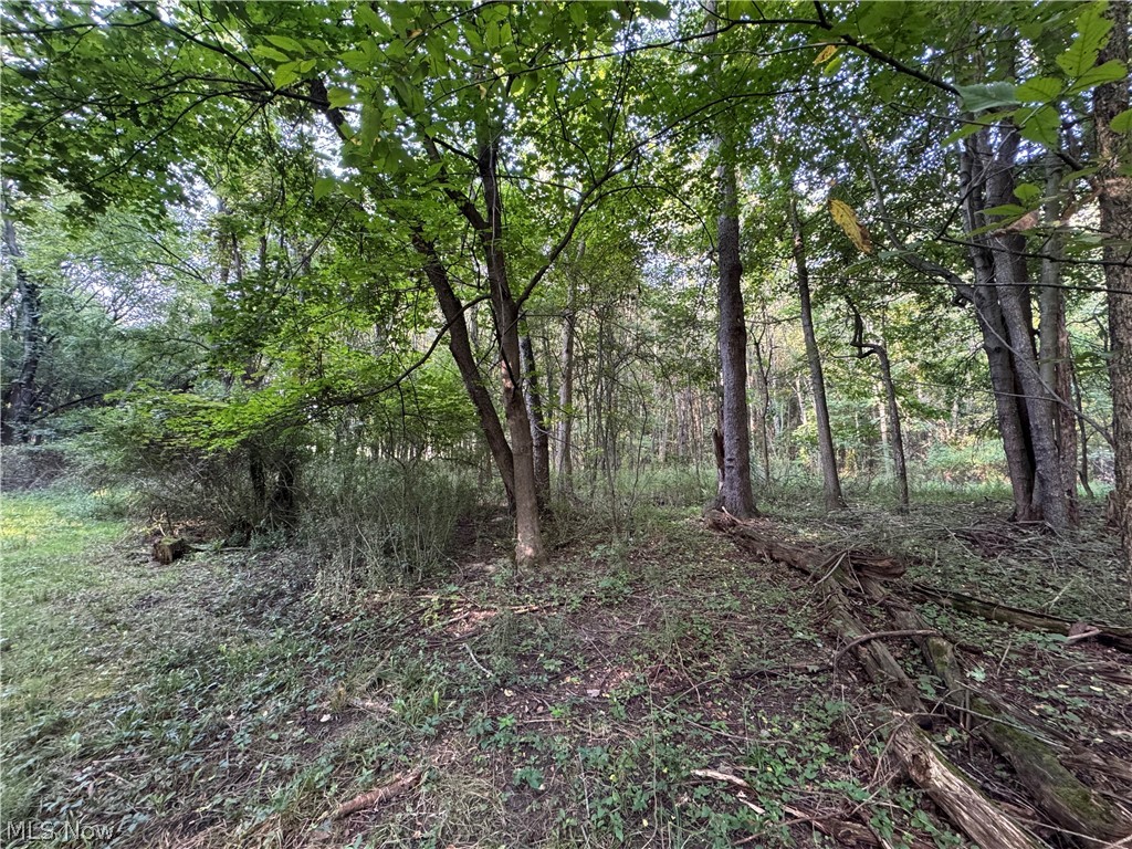 Antone Avenue Property Photo 8