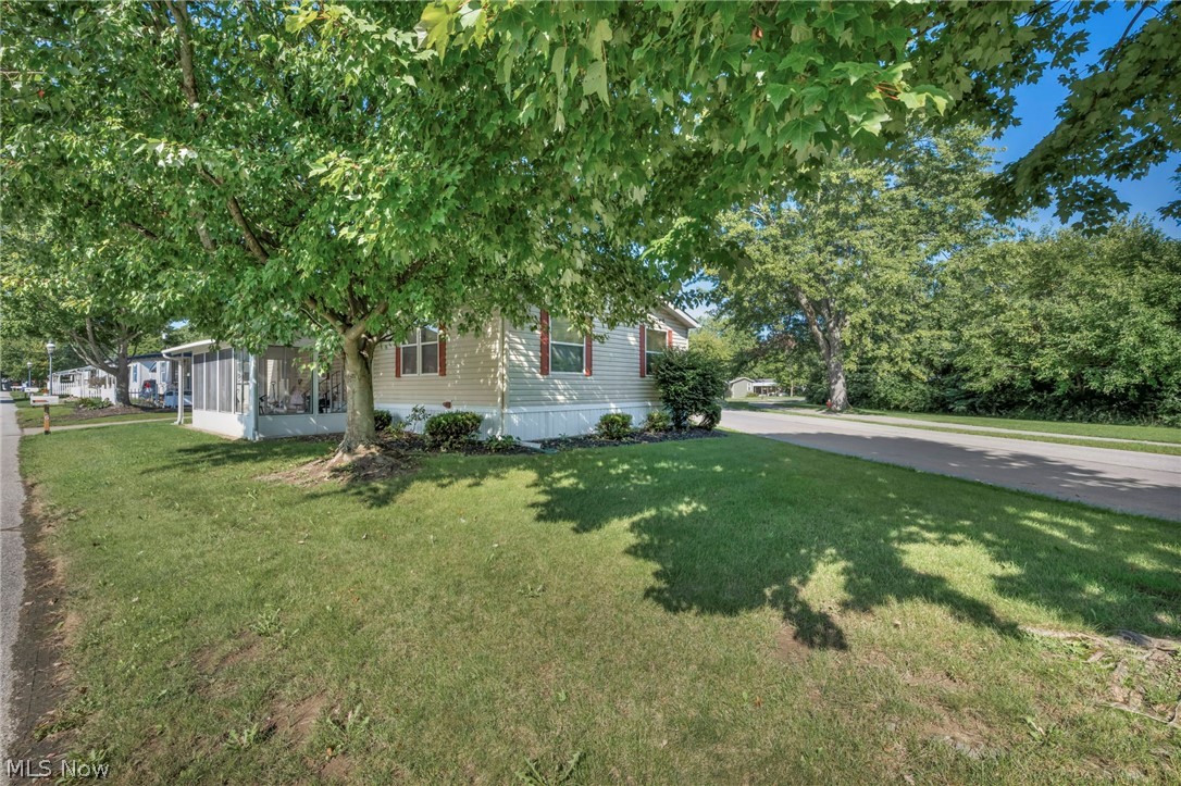 16 Cherry Lane Property Photo 4