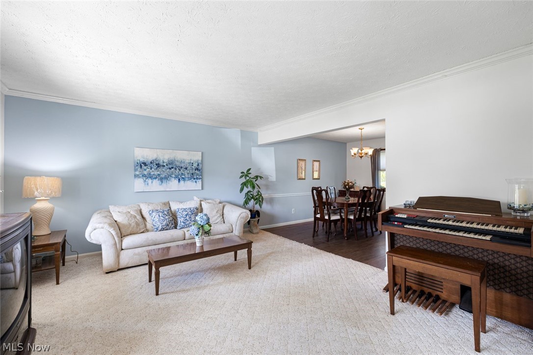 4512 Stary Drive Property Photo 10