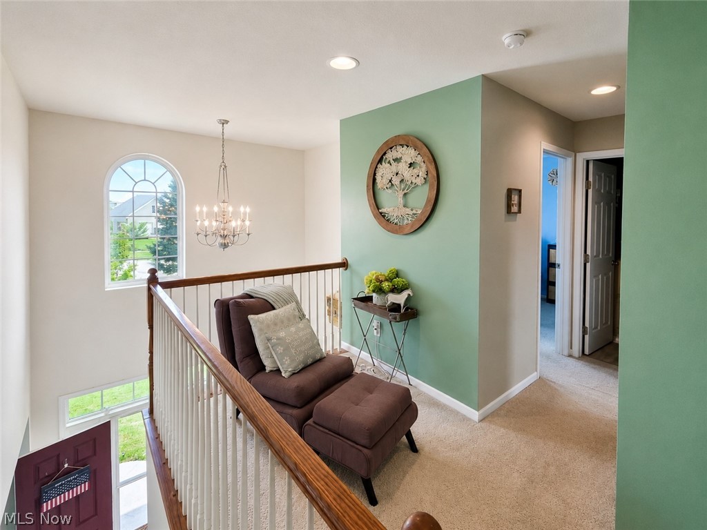 10065 Meadow Ridge Drive Property Photo 22
