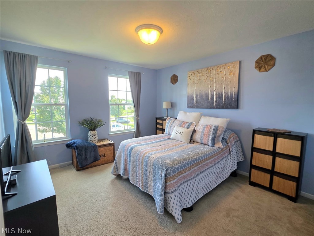 10065 Meadow Ridge Drive Property Photo 28