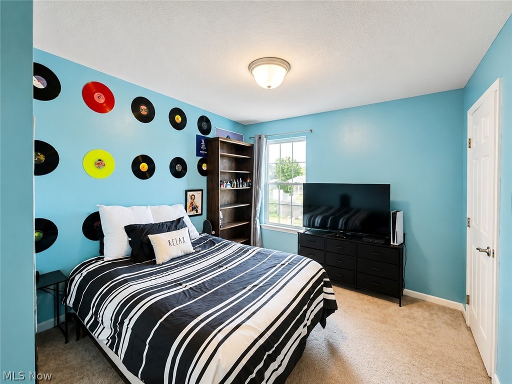 10065 Meadow Ridge Drive Property Photo 34