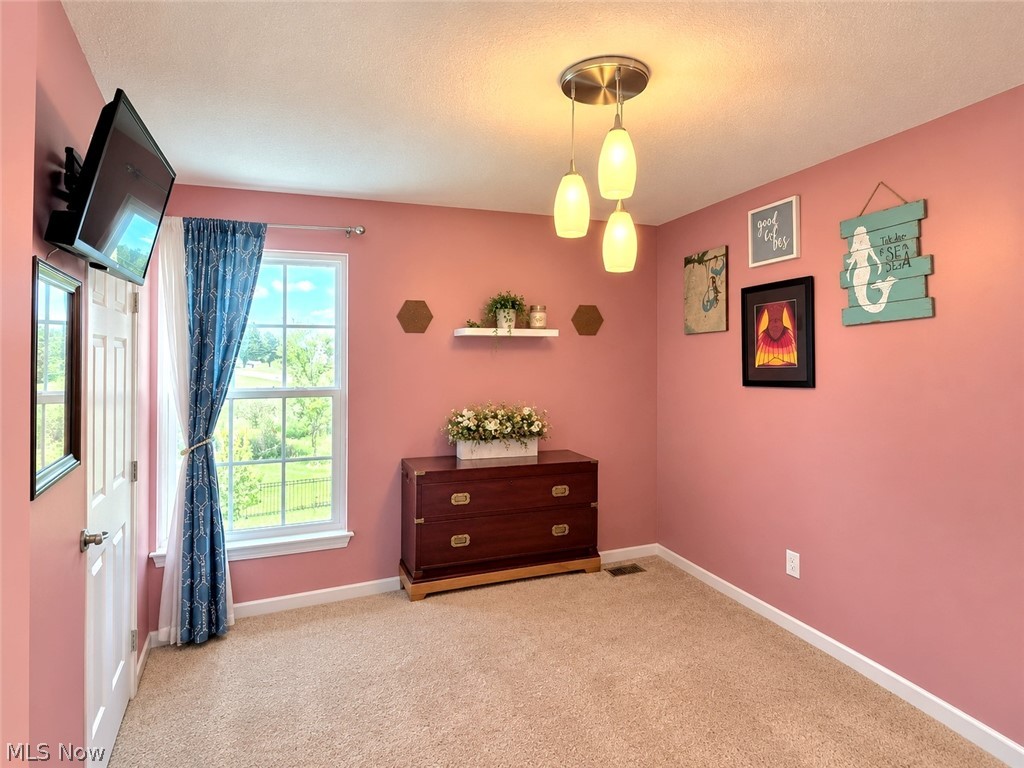 10065 Meadow Ridge Drive Property Photo 35