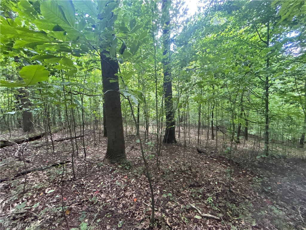 44713 State Route 541 Property Photo 13