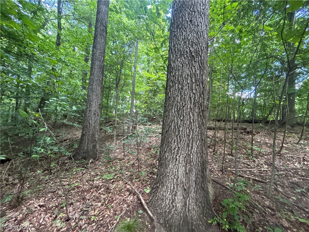 44713 State Route 541 Property Photo 14