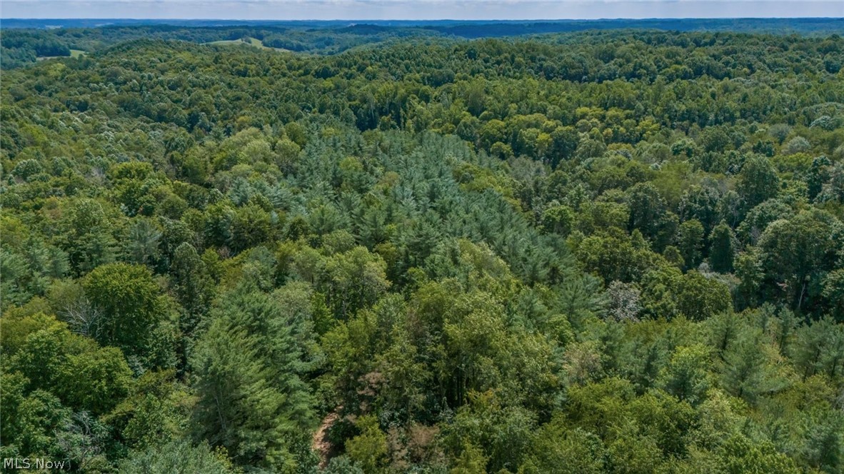 44713 State Route 541 Property Photo 30