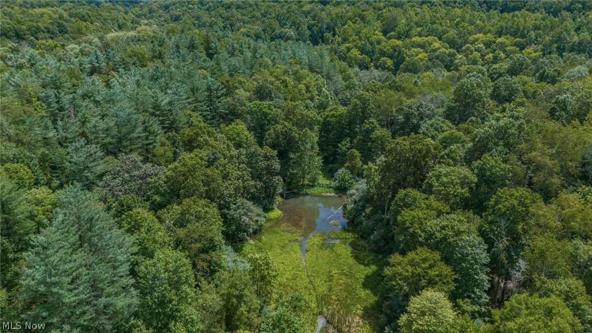 44713 State Route 541 Property Photo 31