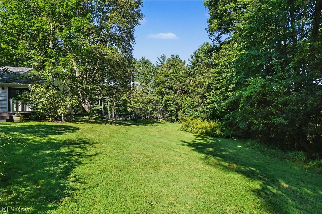 4389 Everett Road Property Photo 29