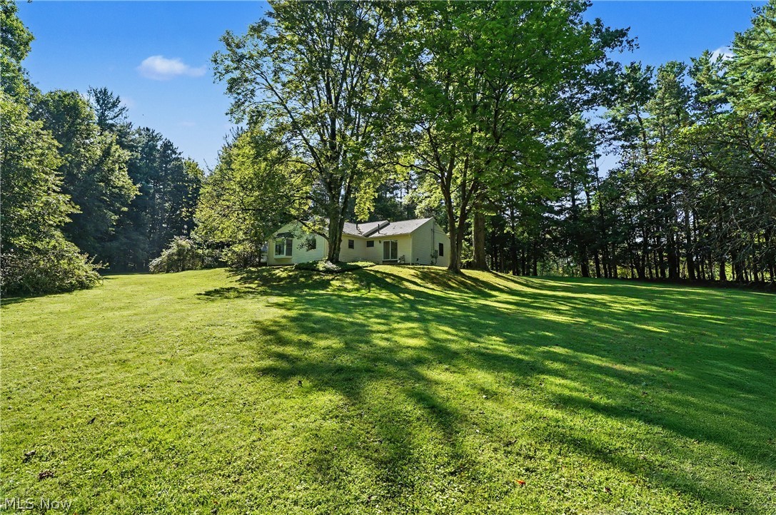 4389 Everett Road Property Photo 30