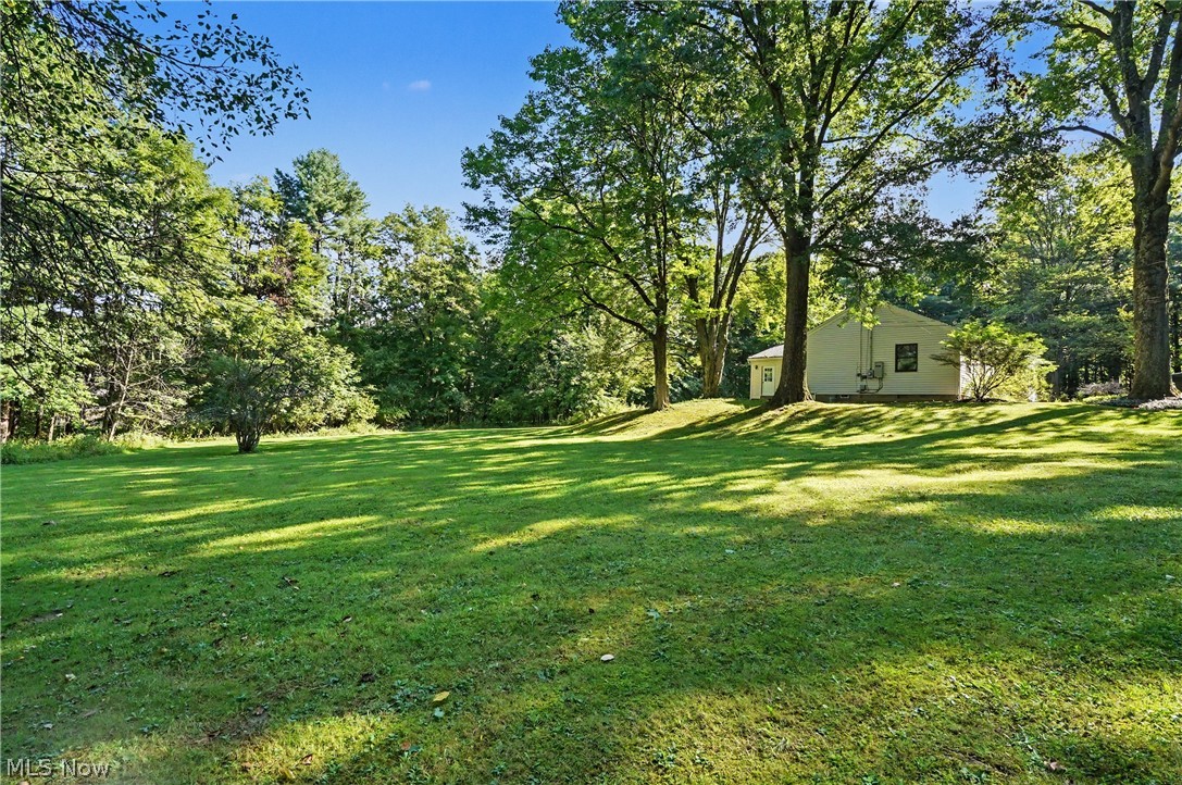 4389 Everett Road Property Photo 31