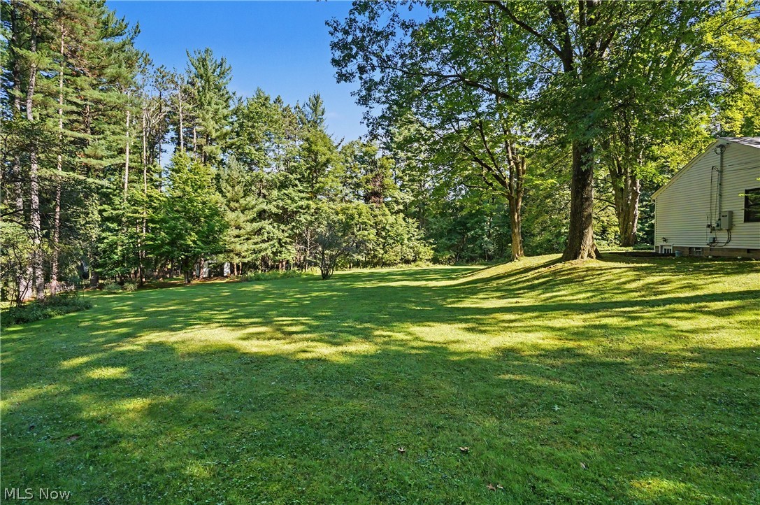 4389 Everett Road Property Photo 32