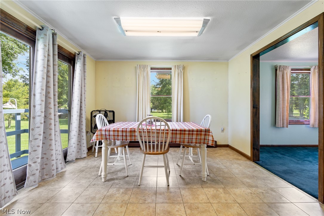 10685 Scotts Corners Road Property Photo 13