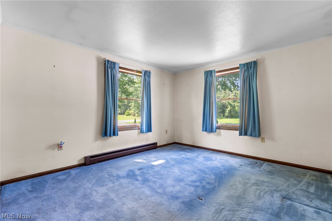 10685 Scotts Corners Road Property Photo 17