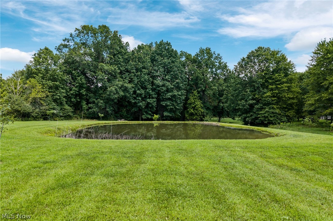 10685 Scotts Corners Road Property Photo 29