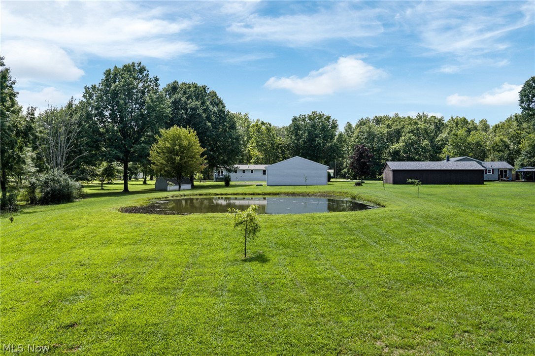 10685 Scotts Corners Road Property Photo 30