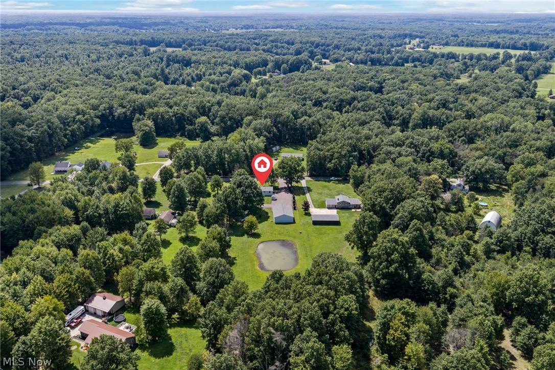 10685 Scotts Corners Road Property Photo 31
