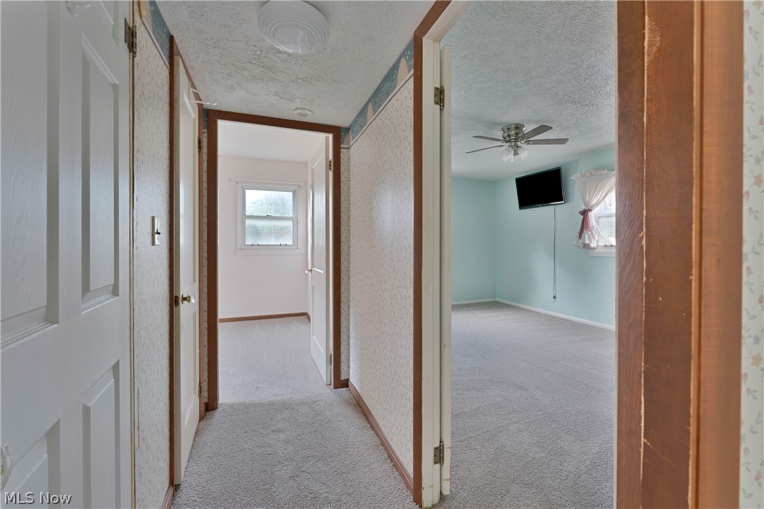 34 Mcdonald Avenue Property Photo 16
