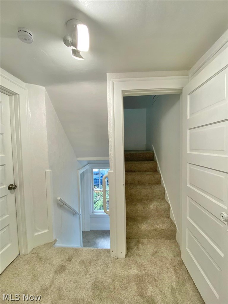 576 Kling Street Property Photo 19