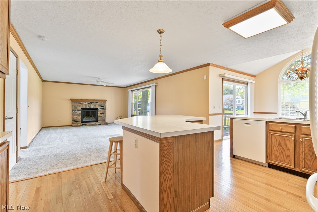 6854 Chablis Court Property Photo 18