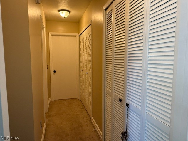 44 Firebush Lane 23 Property Photo 16