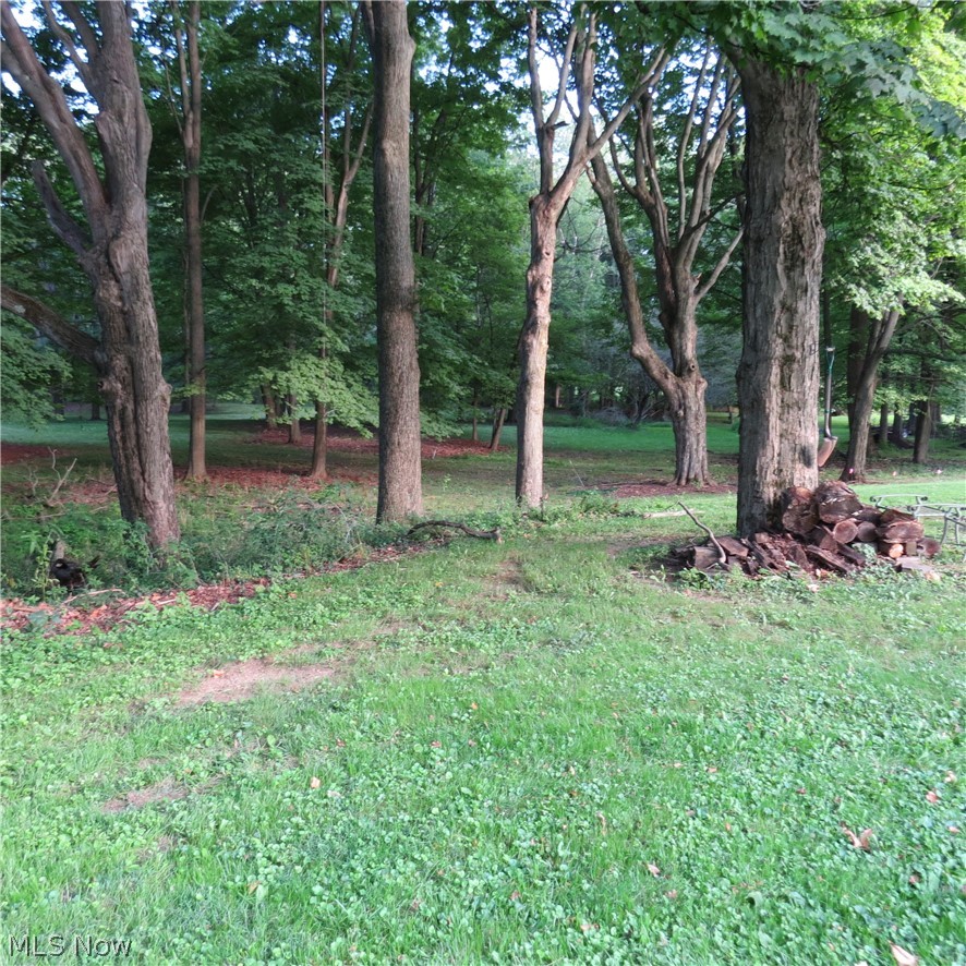 4100 Marihill Drive Se Property Photo 5